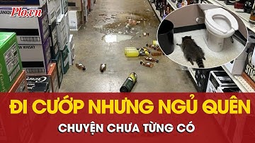 ‘Cướp đeo mặt nạ’ lục tung nhiều kệ rượu rồi… bất tỉnh trong phòng vệ sinh - PLO