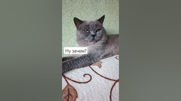 Кто-нибудь? объясните ему уже.. никак не может понять😅