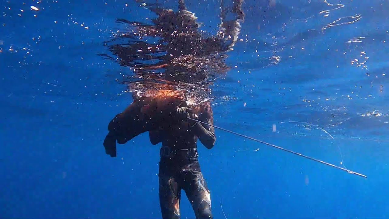 🔱🏹Pesca Submarina en Canarias🇮🇨 (Lanzarote 2021)🏹🔱