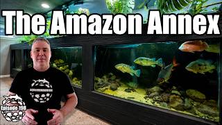 Inside My Amazon Fish Room… Where EVERYTHING Is HUGE!