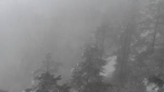 SANY1198.MP4