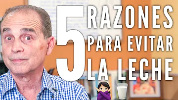 ¿Por qué los humanos no deben beber leche de vaca?