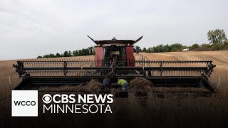 Farmers cautiously optimistic following Trump soybean deal