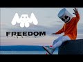 Lvriemann walker  freedom marshmello style official music 2019