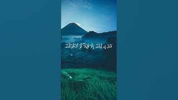 قرأن كريم اسلام صبحي #quran #islamsobhi #القرآن_الكريم #اسلام_صبحي #راحة_نفسية #surah #تلاوات #islam