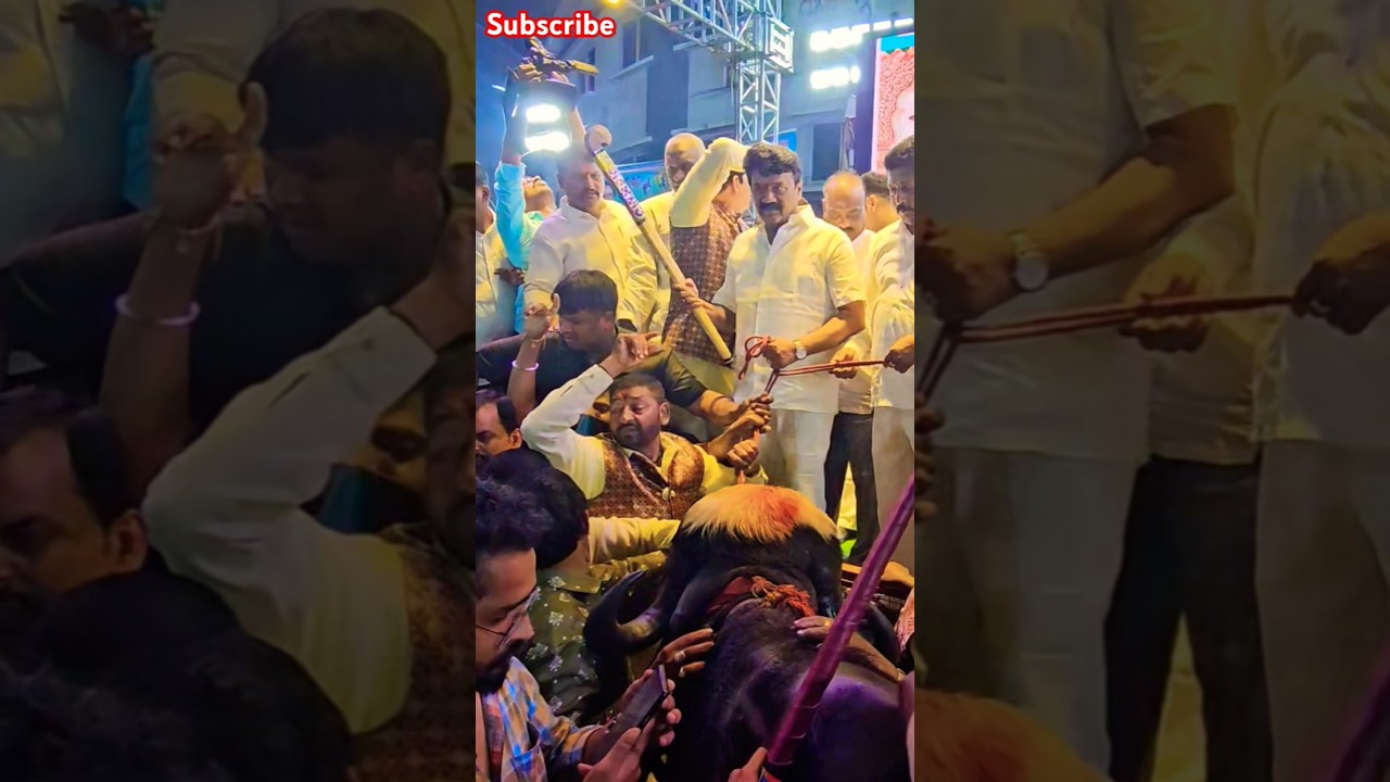 Talasani Srivivas Yadav at Sadar 2024 