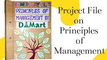 Project File on Principles of Management in D