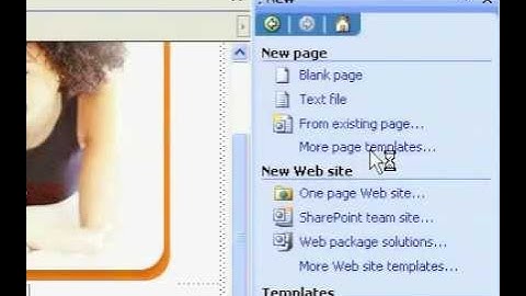 Microsoft Office FrontPage 2003 Add a search page to your web site