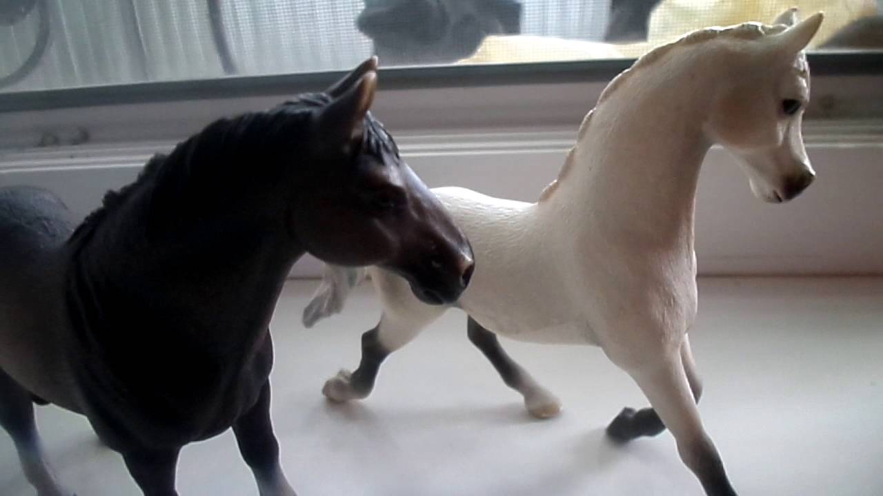 Сериал "КСК Чемпионов" 1 сезон 7 серия - YouTube