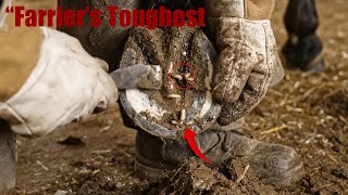 Farrier Hoof Restoration | Relaxing ASMR Process