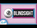 Understanding Blindsight and Consciousness