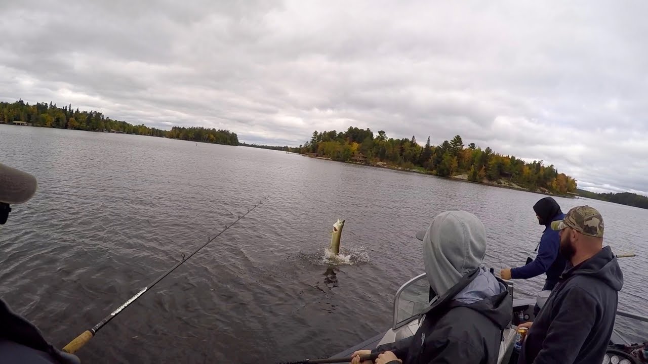 Lake Vermilion Fishing in Late September pt. 5 YouTube
