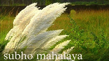 Mahalaya WhatsApp Status 2022||#shorts #mahalaya#bangalvsghotirannaghor