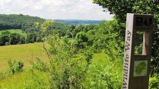 Cotswolds Country Walk   Slad Valley   Elves on the Laurie Lee Wildlife Way round