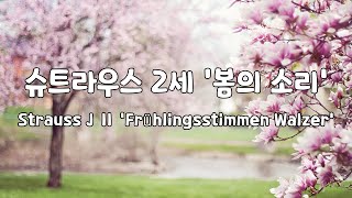 [일간클래식]  슈트라우스 2세 '봄의 소리' (1시간듣기) ♬ Strauss J Ⅱ 'Frühlingsstimmen Walzer' (1Hour)