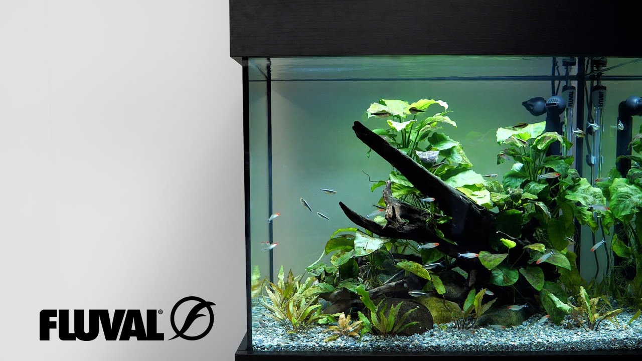 Fluval Shaker Aquarium & Cabinet Sets 