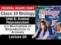 Mechanism of Reproduction in Animals | Chapter 6 Animal Reproduction | Class 10 Biology Federal 2026