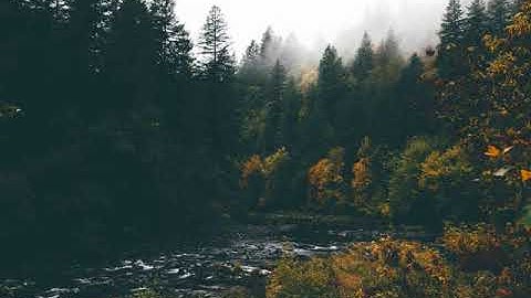 القارئ خالد الغامدي|| تلاوة جميلة سورة الغاشية ||Khalid Al-Ghamdi || Surah Al-Ghashiyah