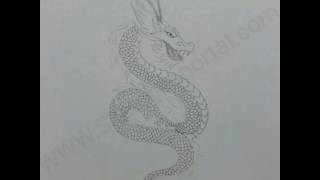 We will learn how to draw a chinese dragon in few easy steps.
mythology, dragons have very positive connotation.they represent
power, strength, ...