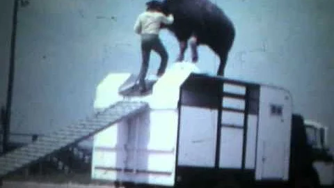Jerry Olsen & Trained Buffalo circa 1973 Leon Adam...