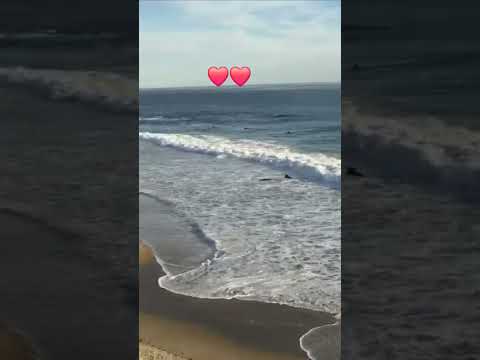 Fyp Shorts Sunset Beach Foryoupage