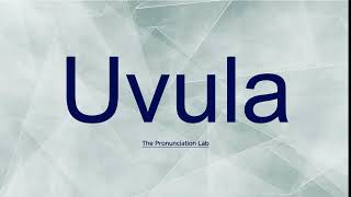Uvula Pronunciation How To Say Uvula Can You Pronounce Uvula Correctly?