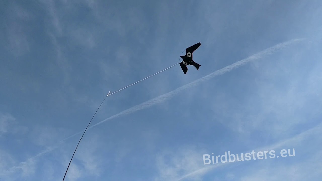 Bird Scarer Kite with 7 Meter Pole