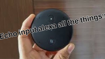 Echo Input Unboxing, Setup, And First Impressions!