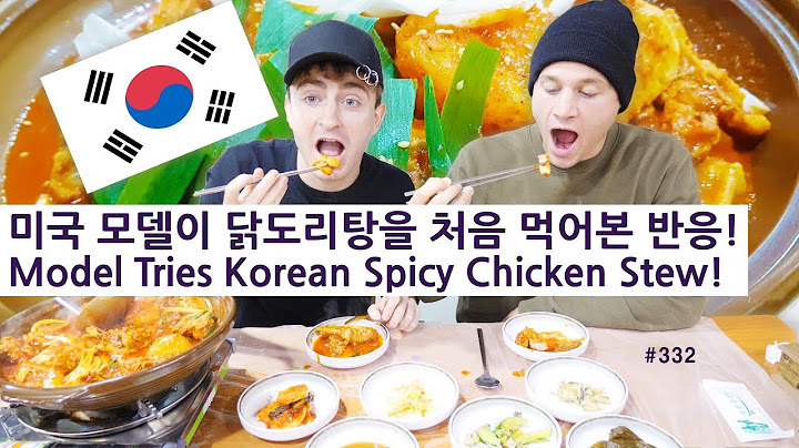 미국 모델이 닭도리탕을 처음 먹어본 반응! (332/365) Model Tries Korean Spicy Chicken Stew!