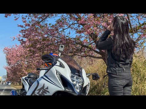 Ruriko_675 - YouTube