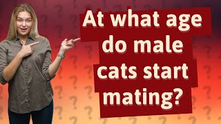 At what age do male cats start mating?