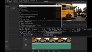 DaVinci Resolve Scripting Intro