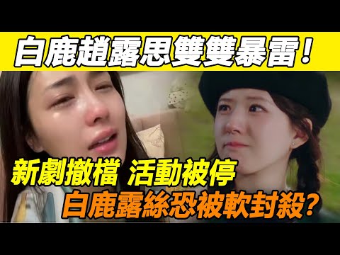 突發！白鹿戀情剛宣就暴大雷？ ！品牌發布會現場醜態百出，遭緊急驅趕下場！好閨蜜趙露思也慘被牽連，新劇恐被下架，陳哲遠也跟著遭殃！更多內幕細節扒出，這瓜沒完！#白鹿#趙露思#陳哲遠#羅云熙#吳磊