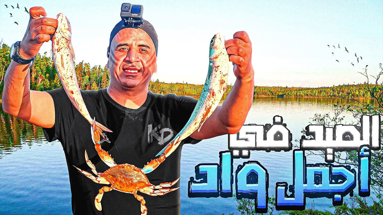الحياة البرية : تحدي صيد السمك 🐠بالجراف طريقة بدائية يوم كامل في الواد الصيد والطبخ