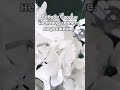 Просто душевно Подпишись ❤️