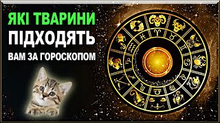 Вірний друг: який домашній улюбленець підійде вам за знаком Зодіаку