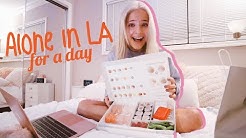 Ella Elbells Youtube