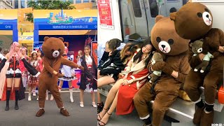 Funny Video in Tik Tok China/Funny chinese Brown Tiddy Bear/ Gấu TROLL cực lầy