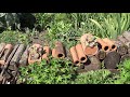 Cheap garden ideas using recycled materials