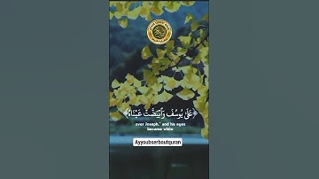 سورة يوسف الآية 84 تلاوة الشيخ عبد الباسط