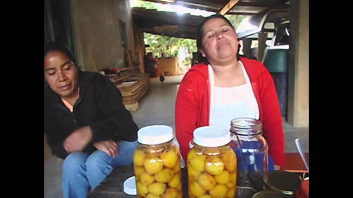 Meta 2.3 _ExperienciasAgroindustriales