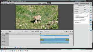Tutorial Premiere Elements (2021) EINE Person verpixeln, Effektebene, manuelles Tracking