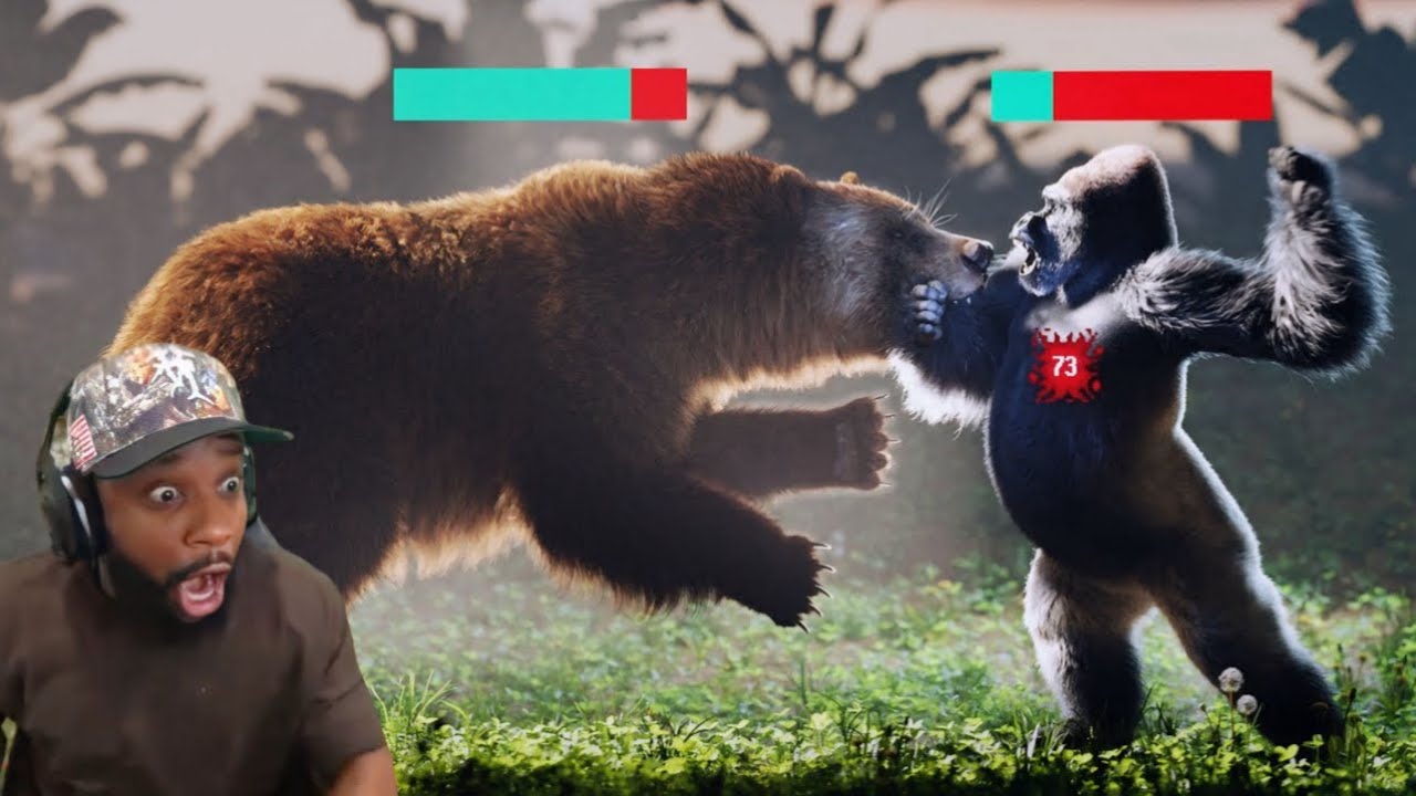 Silverback Gorilla VS Grizzly Bear Reaction!