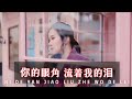 你的眼角流着我的泪 Ni De Yan Jiao Liu Zhe Wo De Lei 黄佳佳 Huang Jia Jia 你的眼角流着我的泪 Ni De Yan Jiao Liu Zhe Wo De Lei 黄佳佳 Huang Jia Jia