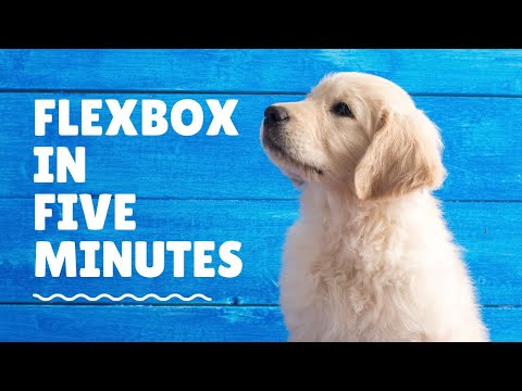 Flexbox in five minutes!!😱
