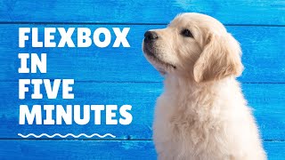 Flexbox in five minutes!!😱