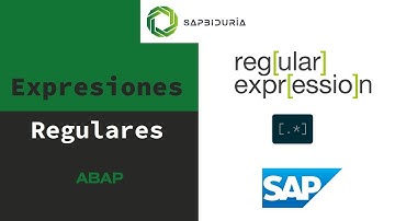 SAP - ABAP - Expresiones Regulares (RegEx)