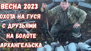 Охота на гуся с друзьями 2023.           На болоте Архангельска .