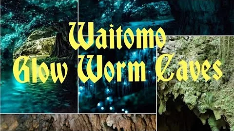 Waitomo Glow Worm Caves, New Zealand 🇳🇿