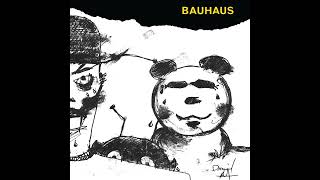 Bauhaus / Muscle in Plastic